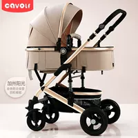 Местный тиран золотой и алюминиевая труба Калифорнийская солнечная луча.