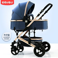 Местный тиран золотая джинсовая джинсовая джинсовая джинсовая резина