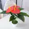 Hoa Giả 50 Cm Nơi Bàn Anthurium Nhân Tạo Vật Có Hoa Cây Cảnh Bộ Nhỏ Hoa Trang Trí Nội Thất Phòng Khách cây cảnh giả trang trí phòng khách Cây hoa trang trí