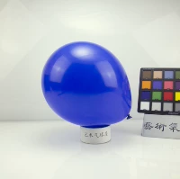 Темно -синий Hyatt 10 -INCH DAMN BLUE
