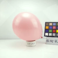 Светло -розовый Hyatt 10 -Inch Light Powder