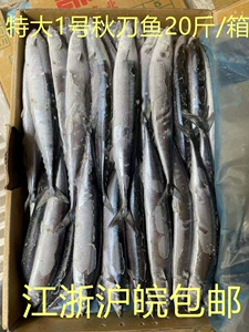 Осень Saury 20 фунтов полной коробки № 1 свежие замороженные специальные большие японские ингредиенты барбекю глубоко морские водные продукты бесплатная доставка