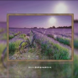 【ZZ1111 Lavender Flower Field Дневник путешествий】 Cross Stitch 2023 Новая серия ландшафта большая спальня