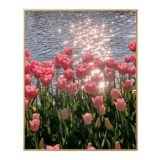 2024 Новый тульп бриллиантовой буровой