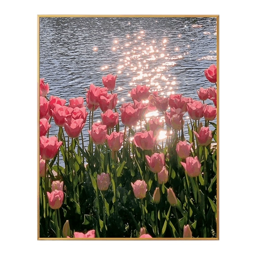 2024 Новый тульп бриллиантовой буровой