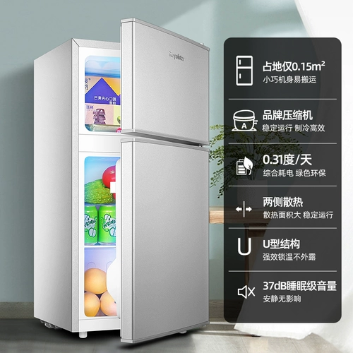 [Первая энергоэффективность уровня] Ронгшида маленький холодильник дом