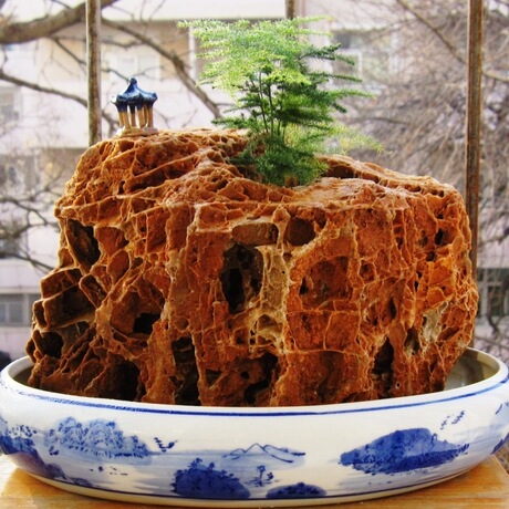 鸡骨石盆景 红红火火招财石 欣赏收藏 风水石 镇宅石 包邮