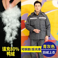 760 зеленого серого задних и заднего светоотражающего верхнего верхнего вершины