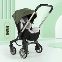 Оливково-зеленый