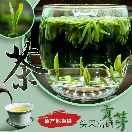 2017新茶上市明前头采春茶恩施富硒贡芽恩施玉露雀舌嫩芽特价贡茶