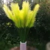Товары от liang_mingde