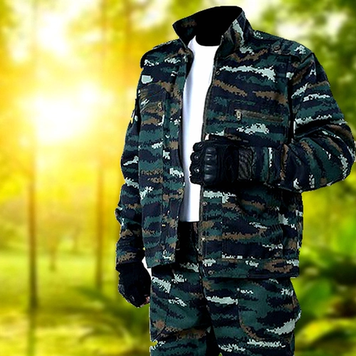 Камуфляж установил услуги по страхованию труда мужской трудовой службы мужской и осенней службы военной подготовки.