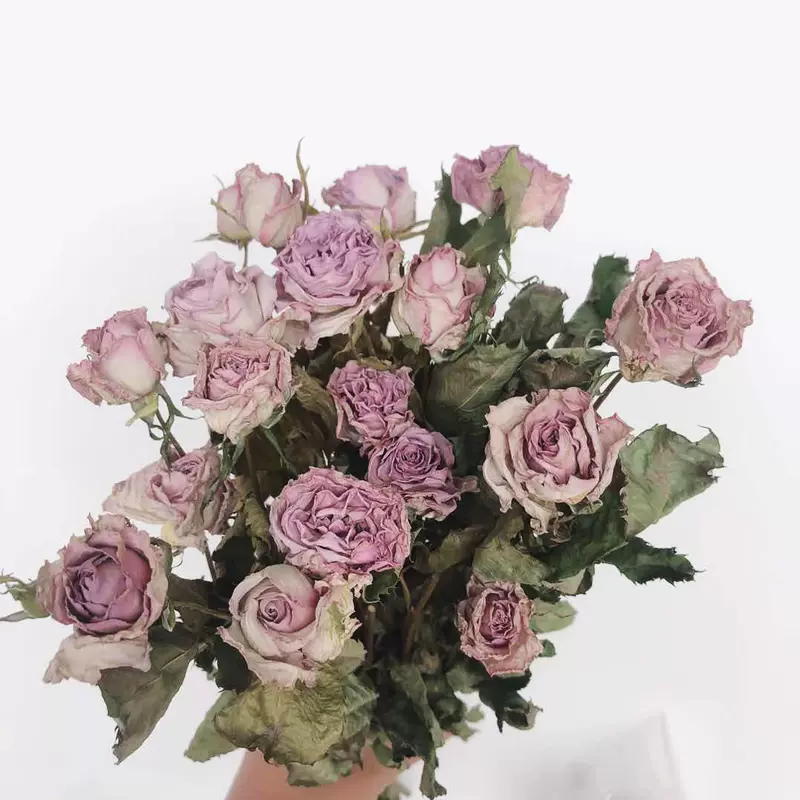 干花花束多头玫瑰霓虹泡泡蔷薇花ins装饰天然diy花材装饰拍摄道具