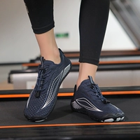 A618 Blue
