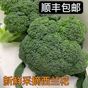 [Бесплатная доставка с SF Express] Свежая брокколи с фермы, овощи, брокколи, фитнес-овощи, потеря жира, свежесобранная брокколи