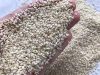 Снимите белый кунжурный ядро ​​50G