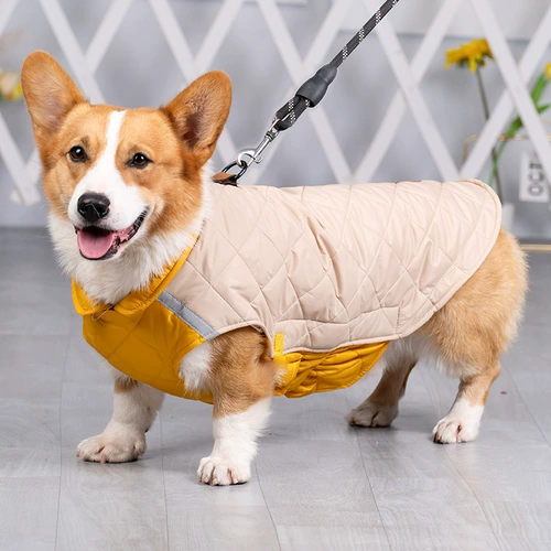 Собачья одежда домашние животные осенью и зимой, зимнее потепление среднего цвета Корки Тедди медведя медведя Фа Доу Шиба Ину Зимние анти -хар