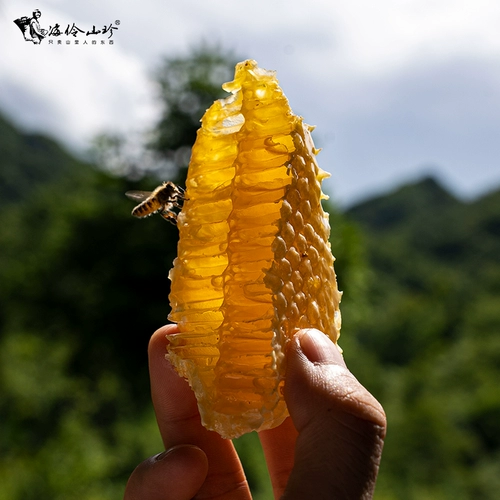 Zhao Hailing | Hai Lingshan Zhen Gaoshan Honey 900G Farmhouse Self -Self -Mode Deep Mountain Honey только раз в год принимается раз в год