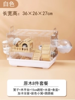 Регистрация 8 -Piece Package (белый) [крысы крысы]