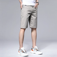 DK8029 Grey/Shorts (одиночная установка)