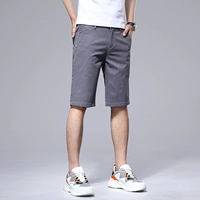 DK8028 Темно -серый/шорты (одиночная установка)