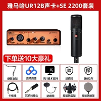 UR12B+SE 2200 Microphone Suit
