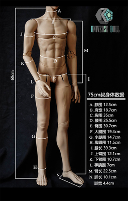 taobao agent US DOLL BJD 75 Series Zhuangshu Submctiles Three -stage Body