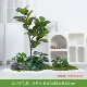 DJ-AG701 Qinye Leaf Banyan Landscape Simulation Tree Landscape