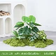 AS100-10 Limited Time Специальное предложение