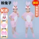 Y Pink Rabbit [короткая модель]