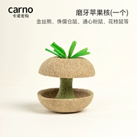 Яблочная сердцевина для скрежетания зубами (1 штука) [Скрежетание зубами и здоровые зубы]