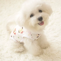 Котенок кролик тонкий