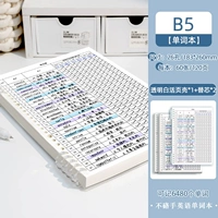 B5 · прозрачный курс+2 книги ядро/комплекс 6480 слов