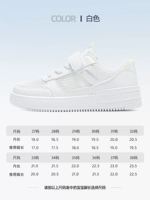 【Одиночный летний стиль】 0386 Белый
