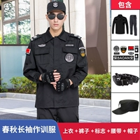 Осенний комплект с молнией, штаны, ремень, шапка