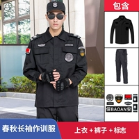 Осенний комплект с молнией, штаны