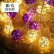 Вставка модели [теплый белый+фиолетовый] 5 метров 20 ламп и один шарик ротанга