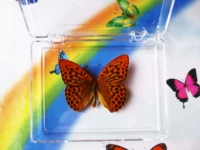 Леопард Умирает 5см