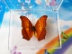 Wenyu Butterfly 7 см