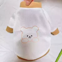 Белый медведь Walv GE [Продвижение за очисткой]