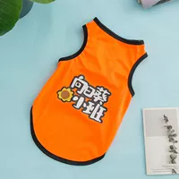 Апельсиновый класс подсолнечника [Продвижение за очисткой]