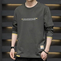 242 серые (длинные рукава)