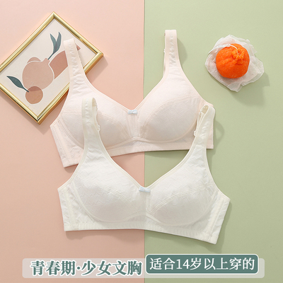 taobao agent Girls underwear Student Development During the Development High School Student 16-18-year-old girl wearing a small bra for adolescence Japanese bras