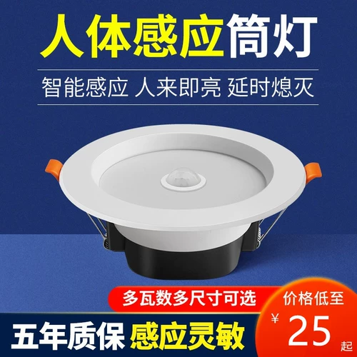 Светодиодный умный физиологичный индукционный потолочный светильник, потолочное точечное освещение для коридора