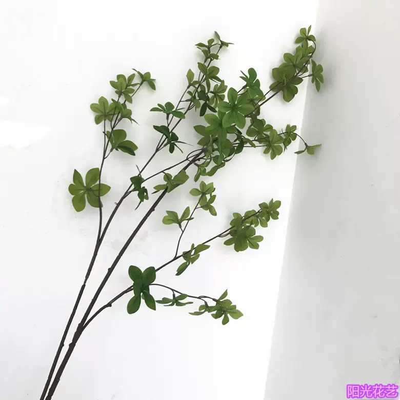 仿真小盆景绿植仿真白心万年青花店万年青绿萝孔雀叶立体墙装饰花