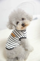 Черный жилет