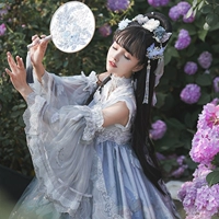[Decepted Group Display] South Guo Mu Butterfly Nine Song Song Lolita юбки оригинал Qi Sense китайский стиль серый JSK