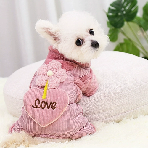 Осенняя одежда для щенков осенью и зимним паточным питомцем маленькая собака Тедди Бомеби медведей Толстые щенки