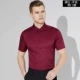 Tabby-wine-Red