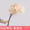 cây hoa giả trang trí trong nhà Mô phỏng hoa anh đào cành cưới hoa lê cây đào nhựa hoa giả mây trang trí trần hoa lụa trong nhà tầng phòng khách hoa giả trang trí phòng khách Hoa nhân tạo / Cây / Trái cây